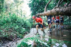 BIB: 
                            <button type="button" onclick="openModal(25445761)" class="btn btn-primary btn-sm float-right btn-popup" data-toggle="modal" data-target=".modal-high-quality">
                        <i class="fas fa-shopping-cart"></i> Add to Cart
                    </button>
                                            <button type="button" onclick="isThisMe(25445761, true)" class="btn btn-success btn-sm float-right btn-popup btn-isme hidden" data-toggle="tooltip" data-placement="bottom" title="นี่คือรูปของคุณใช่ไหม คลิกที่นี่เพื่อเอาเข้าอัลบั้ม">
                        <i class="fas fa-plus"></i> Add to album
                    </button>
                    <button type="button" onclick="isThisMe(25445761, false)" class="btn btn-warning btn-sm float-right btn-popup btn-isnotme hidden">
                        <i class="fas fa-ban"></i> Remove from album
                    </button>